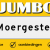 Jumbo Moergestel