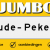 Jumbo Oude Pekela