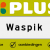 Plus Waspik