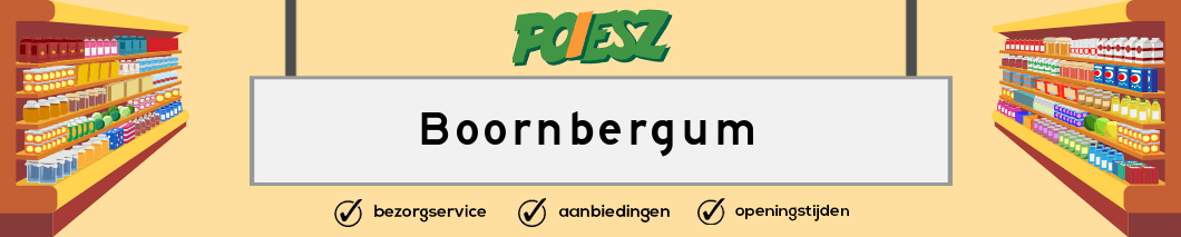 Poiesz Boornbergum